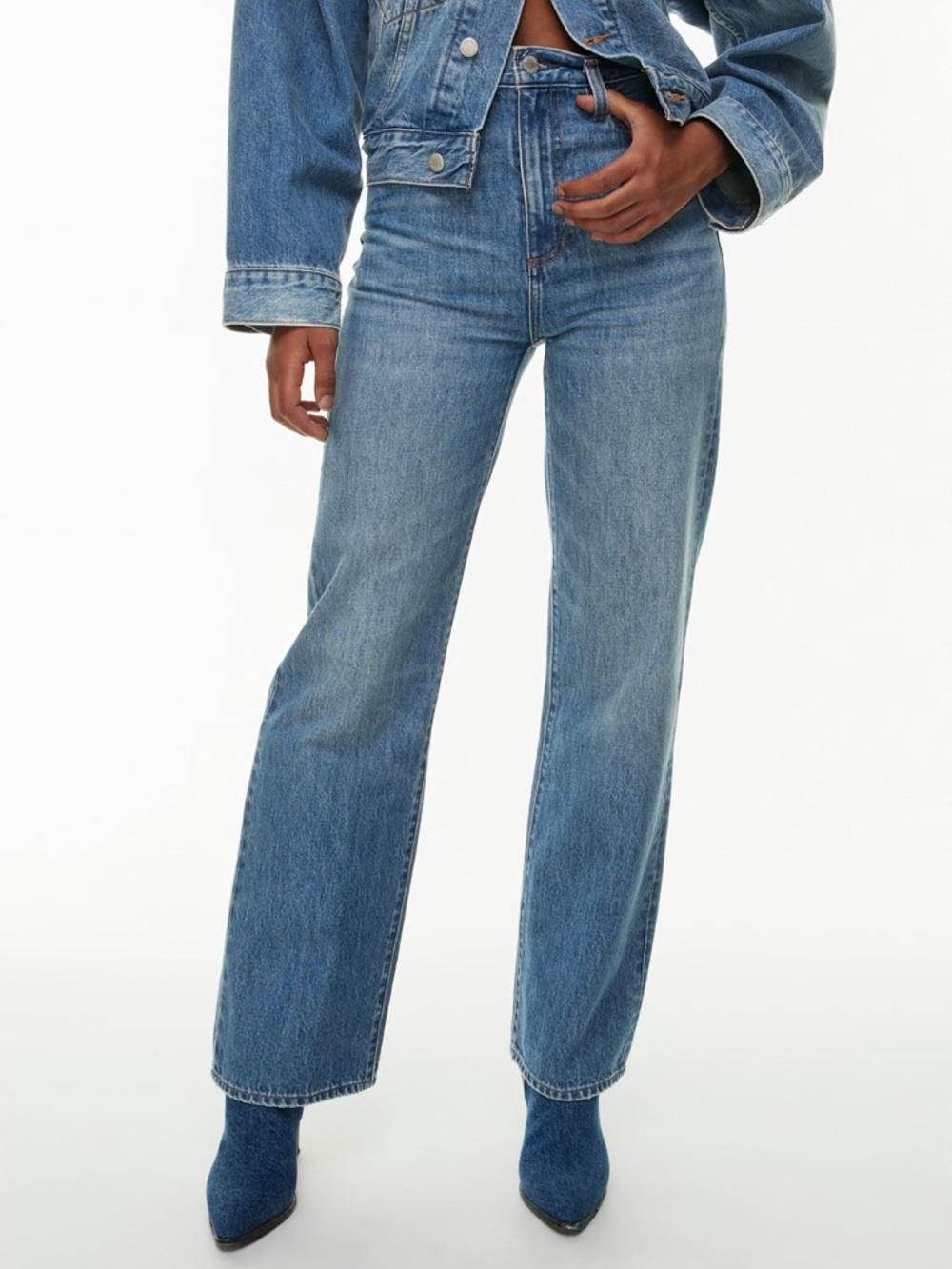 Aritzia Denim Forum The '90s Winona Hi-Rise Wide Jean